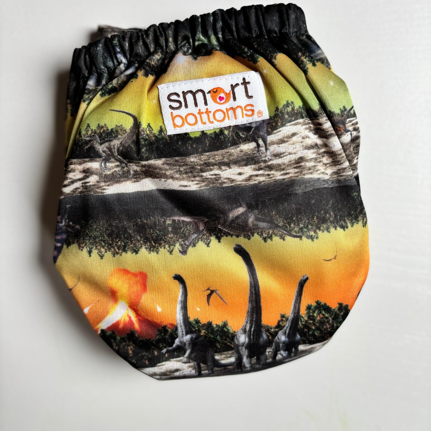 Smart Bottoms 3.1 All in One Organic Cloth Nappy CLEARANCE PRINTS-All In One Nappy-Smart Bottoms-Baby of Mine-The Nappy Market