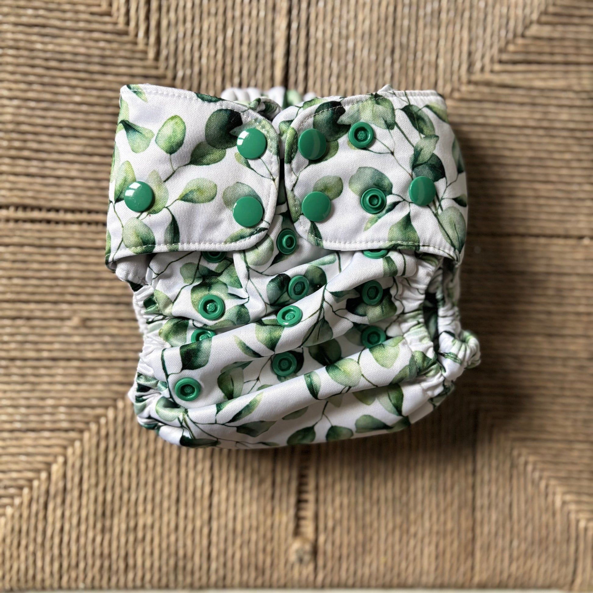 Mimi & Co Originals 1.0 Snap in Two Pocket Nappy-Snap in with Pocket-Mimi & Co-Eucalyptus (double gusset)-The Nappy Market