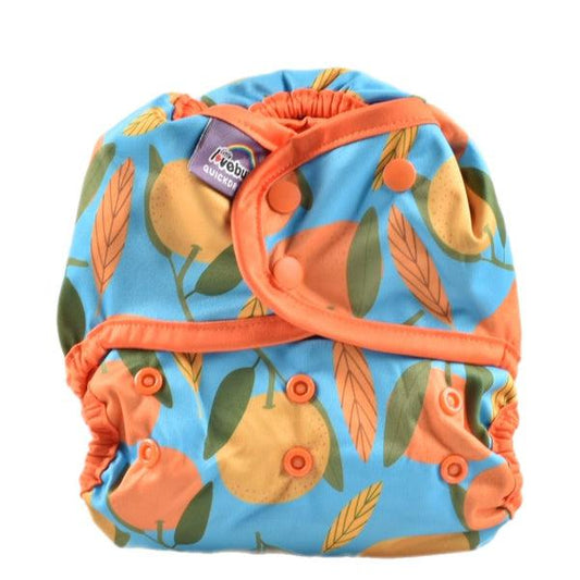 Little Lovebum Quickdry V2 All-in-One Nappy-All In One Nappy-Little Love Bum-Clementine-The Nappy Market