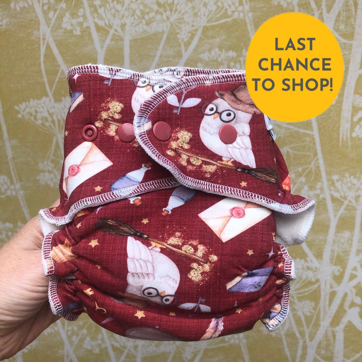 Harry potter best sale reusable nappy